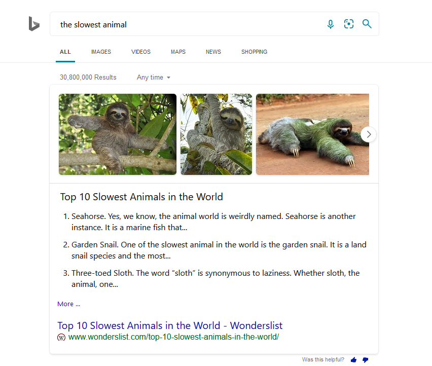 Bing search for slowest animal