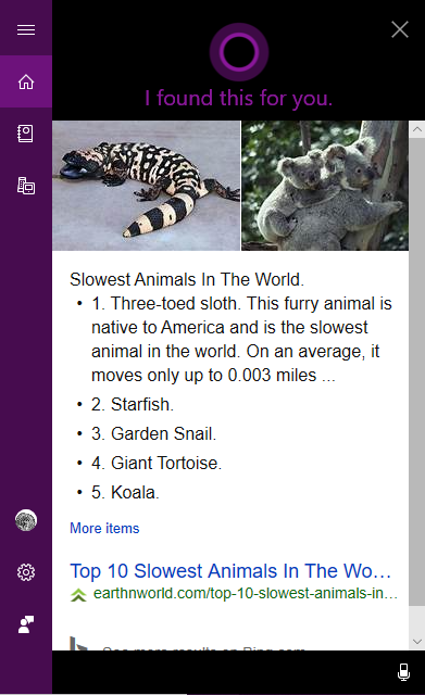 Cortana search for slowest animal