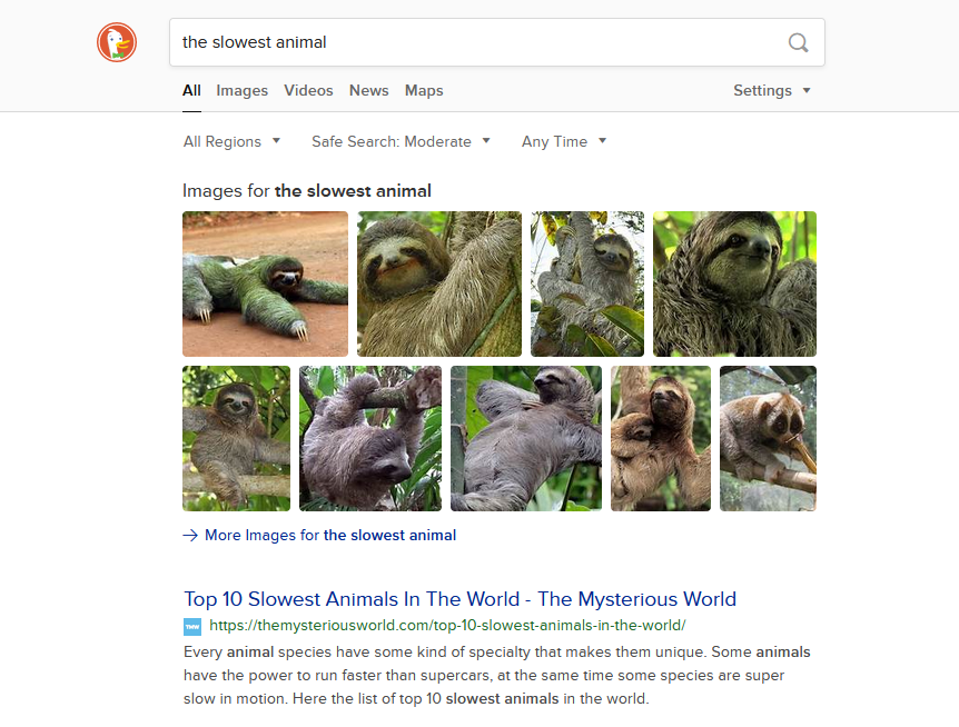 DuckDuckGo search for slowest animal