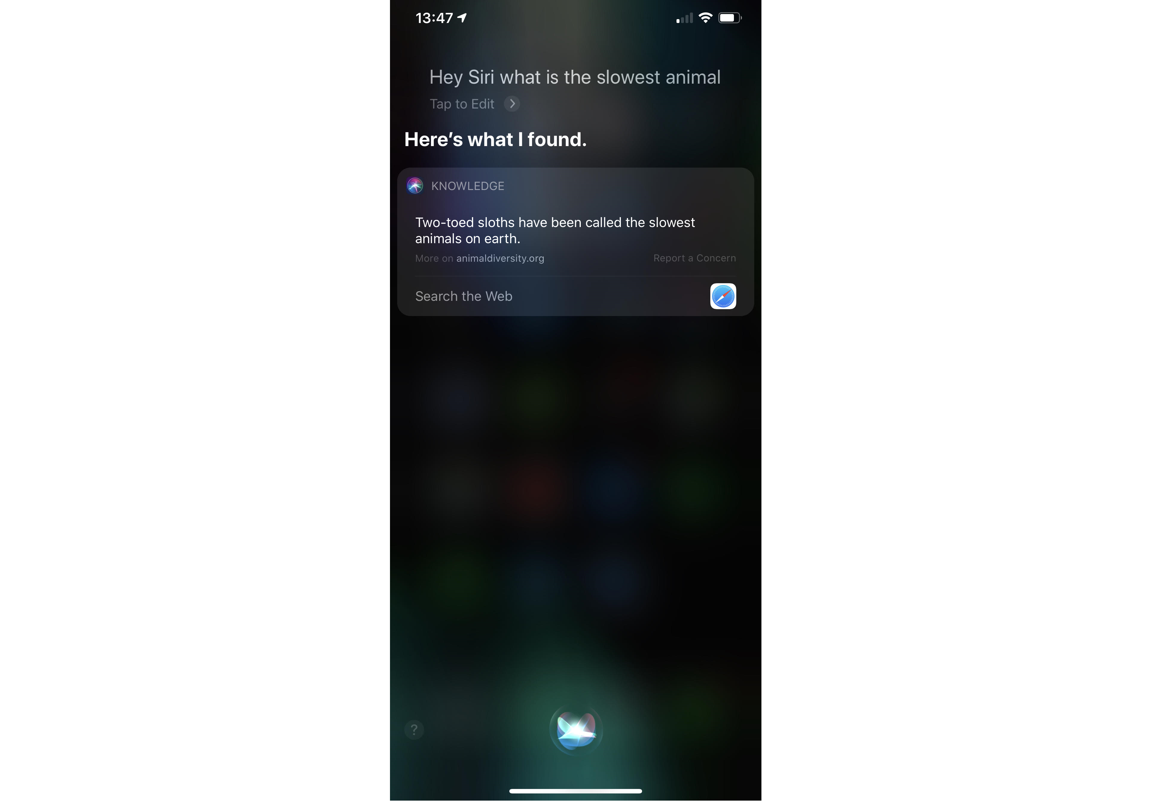Siri search for slowest animal