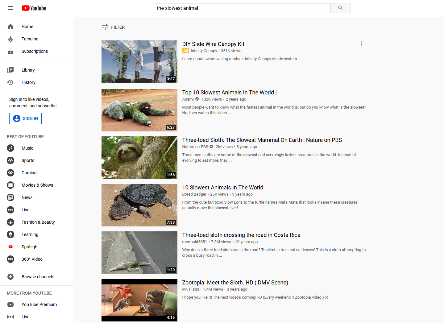 YouTube search for slowest animal